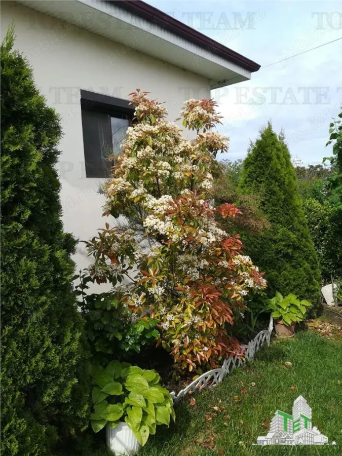 Casa individuala cu 4 camere in Corbu Constanta liniste natura mare si lac - foto 2